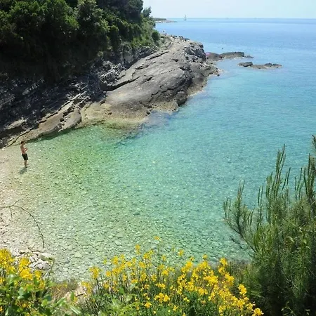 Garden With Terrace And Grill 아파트 풀라