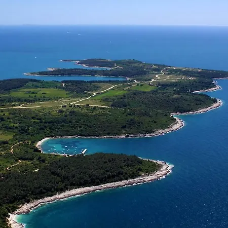 아파트 Garden With Terrace And Grill 풀라